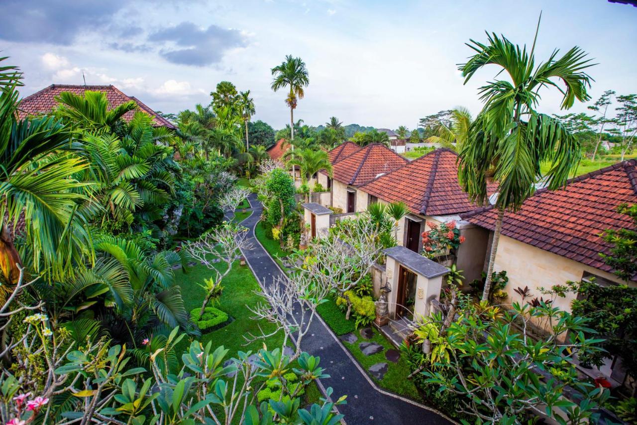 Mandi Resort
