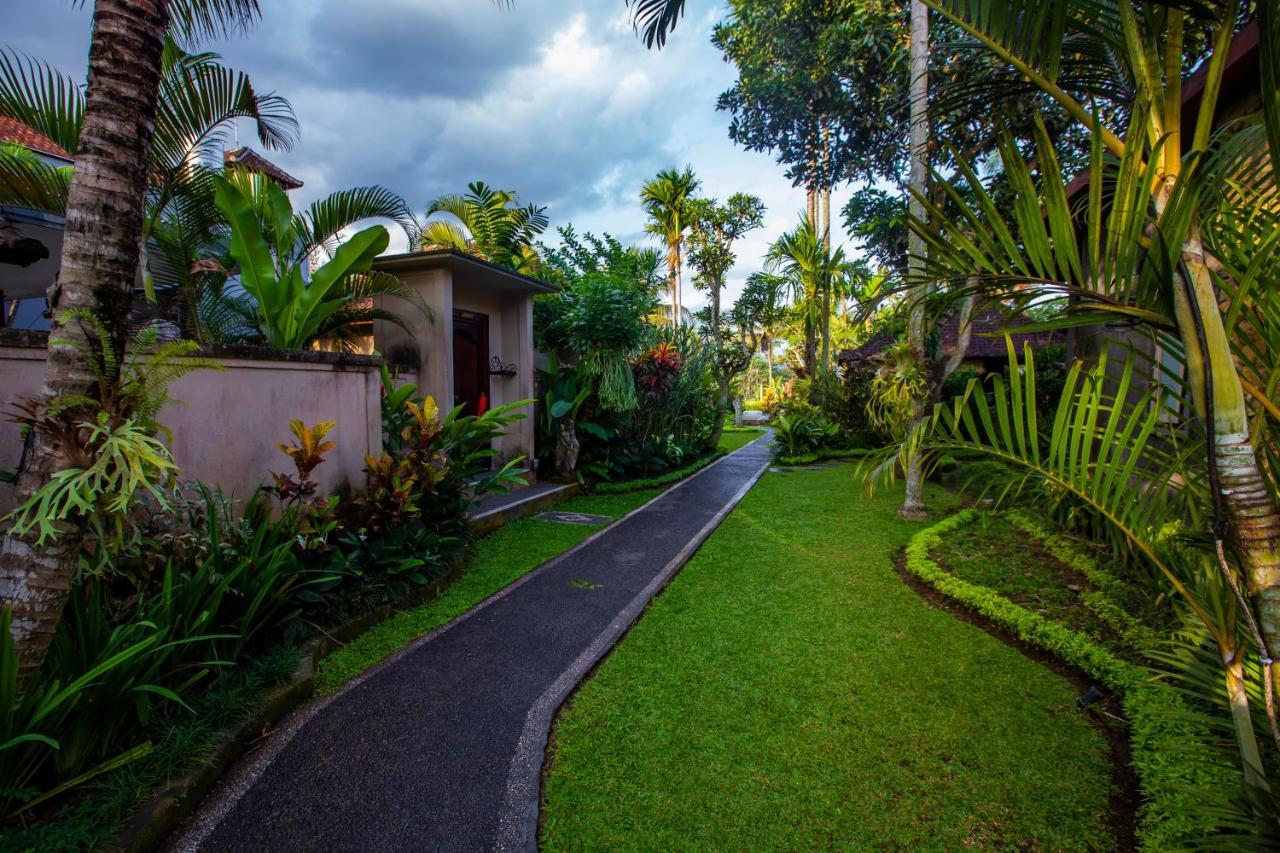 Resort Mandi 4*